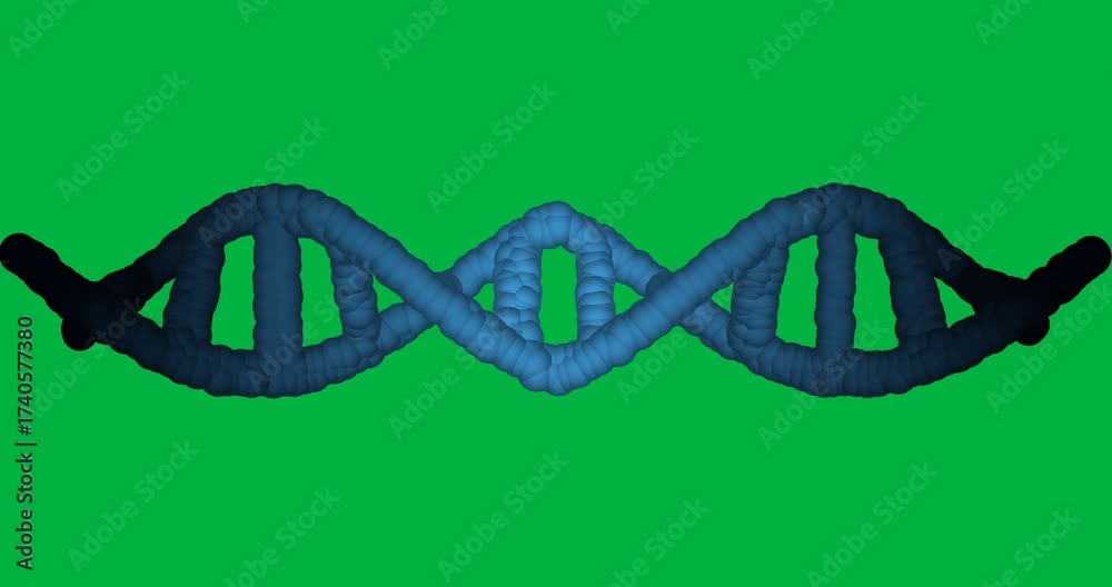 Wall mural animation of macro 3d blue dna strand spinning over transparent background