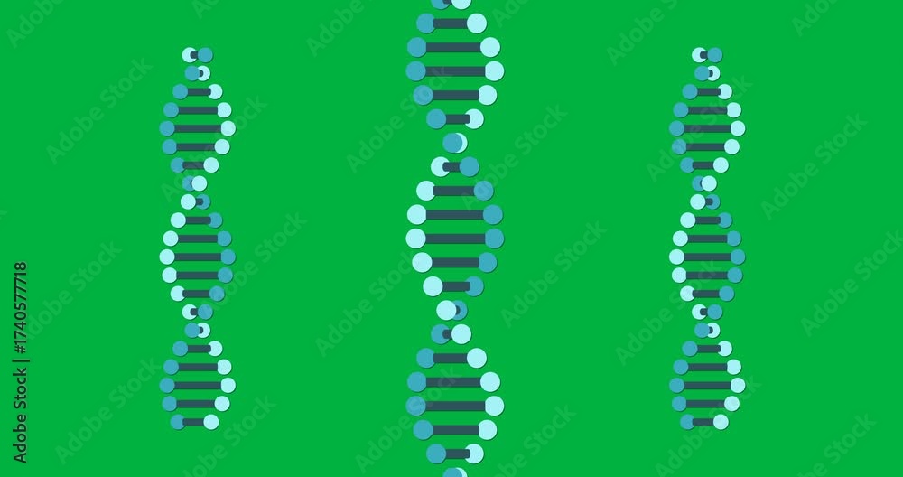 Wall mural animation of macro 3d blue dna strands spinning over transparent background