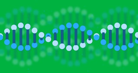 Animation of macro 3d blue dna strands spinning over transparent background - Powered by Adobe