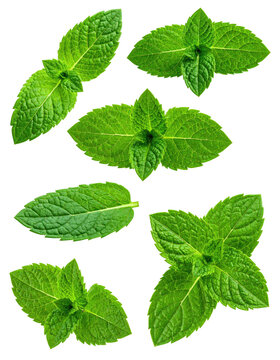 Fresh mint leaves, top view, close-up