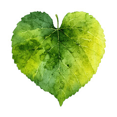 Isolated watercolor leaf with textured green and yellow tones on transparent background.