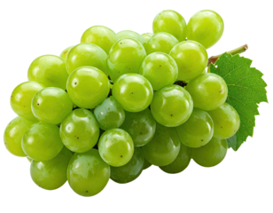 Close-up of a bunch of vibrant green grapes.  A cluster of round, light green grapes is featured, attached to a vine with leaves