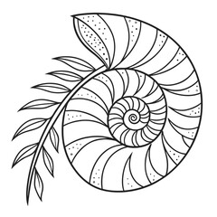 Obraz premium Intricate black and white line art illustration of a nautilus shell with delicate leaves and floral patterns