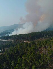 Overview of a dense forest area with smoke billowing