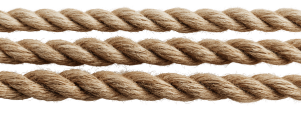 Close-up view of three strands of natural fiber rope against a white and transparent background, concept for nautical themes, decorative borders and securing objects tightly
