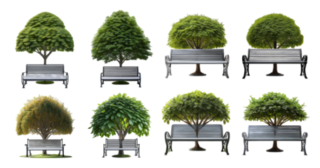 Various Trees and Benches in Unique Arrangements for Parks and Gardens, PNG bundle collection, Isolated on Transparent Background