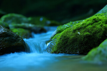 A serene close-up of a flowing stream surrounded by moss-covered rocks, capturing the peaceful essence of a natural forest waterway in soft, cool tones
