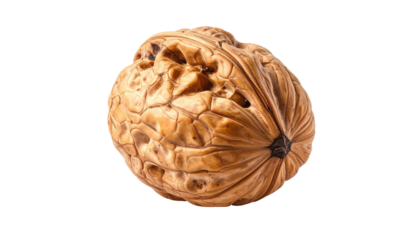 Single walnut, close-up.  A whole walnut, light brown, with a rough, textured shell.  It's positioned centrally on a black background, isolated and in sharp focus