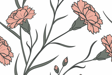 Carnation delicate flower