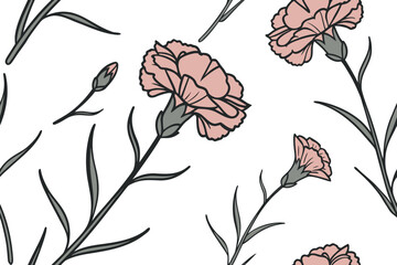 Carnation delicate flower