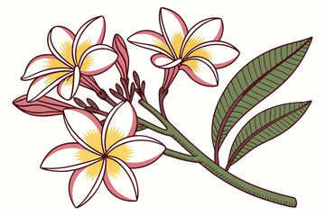 vector illustration of a flower