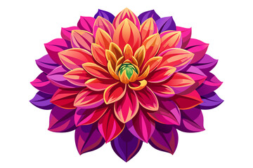 Dahlia isolated on white background