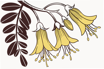 kowhai yellow blossom