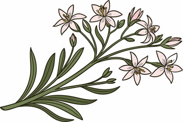 vector floral background