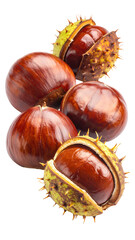 Close-up of several horse chestnuts, some split open, showcasing their rich brown interior
