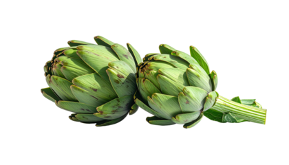 Two fresh artichoke heads, close-up, vibrant green, slightly mottled with purplish-brown spots, attached to a stem