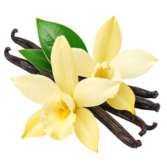 Close-up of vanilla orchid flowers and pods