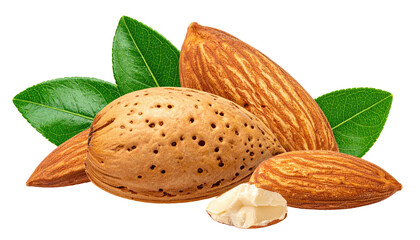 Three almonds, two whole and one halved, nestled amongst vibrant green leaves, against a stark black background.  A close-up view highlights the nut's texture, color, and the intricate striations