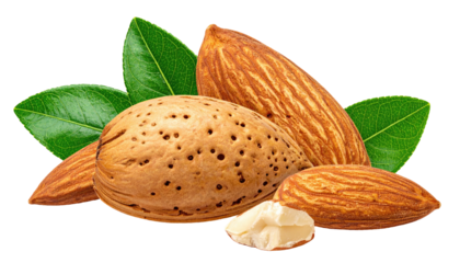 Three almonds, two whole and one halved, nestled amongst vibrant green leaves, against a stark black background.  A close-up view highlights the nut's texture, color, and the intricate striations