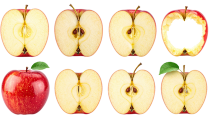 Red apple halves, sequential stages of consumption