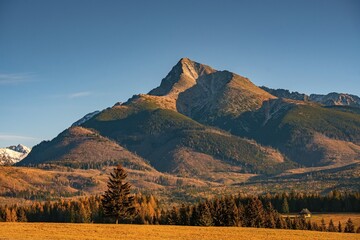 Dramatic mountain peak in golden sunset light, surrounded by colorful autumn forest and peaceful countryside. Beautiful fall scenery in the wilderness.