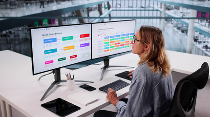 Businesswoman Doing Customer Journey Map