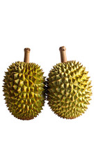Two durian fruits, close-up, isolated on black