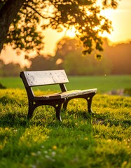 Park Bench Serenity - A Moment of Peace in Natures Embrace.