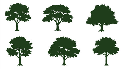 Fototapeta premium A collection of six dark green tree silhouettes on a white background