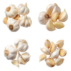 Fototapeta premium Collection of fresh garlic bulbs and cloves isolated on white background.