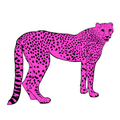 Fototapeta premium pink cheetah, drawing, retro, pastels, drawn with pencil, high quality, smooth background, silhouette, white, illustration, art, cat, cartoon