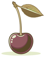 Cherry Fruit Still Life with Leaf Hand Drawn Illustration Isolated Design