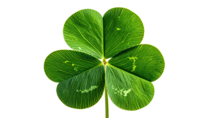 Close-up of a vibrant green four-leaf clover, sharply focused against a black background.  Veined leaf structure is detailed