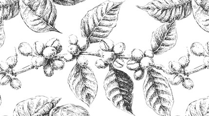 A detailed illustration of coffee branches with ripe coffee cherries and leaves, showcasing a botanical style