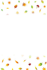 落ち葉の背景〈ハガキ〉　E-1