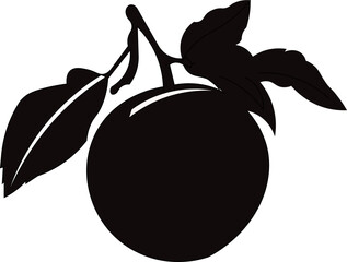  Fruit with Leaf Silhouette Vector