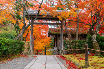 Adashino Nenbutsuji temple gate and autumn leaf color, Arashiyama