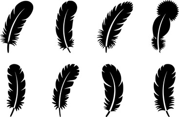 Obraz premium Collection of Black Feather Silhouettes on White Background