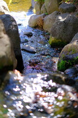 水と緑の観光地のスナップ撮影