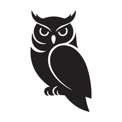 owl on white background