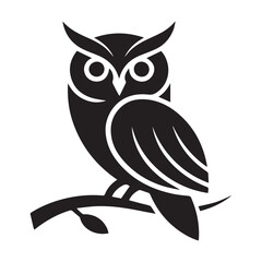 owl on white background