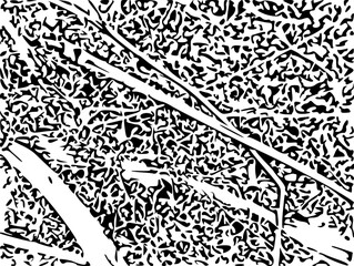Obraz premium black and white background