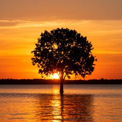 Silhouette tree at sunset over water (1)