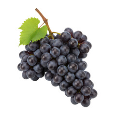 Fototapeta premium Luscious black grapes cluster presenting an exquisite fruit harmony on clean backdrop