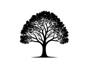 Silhouetted tree graphic