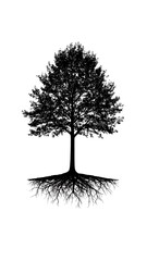 Silhouetted tree with roots against a white background