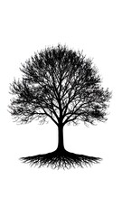 Silhouetted tree with roots against white background