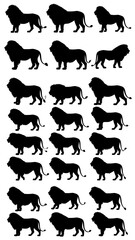 Silhouettes of lions in profile view