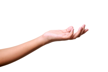 Female hand to hold something isolated on white background with clipping path.