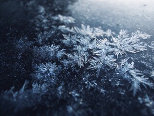 Intricate ice frost crystals on a dark blue background, macro view of delicate winter patterns